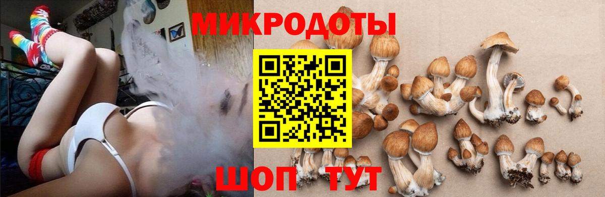 Галлюциногенные грибы Magic Shrooms  Галлюциногенные грибы Psilocybe  Минусинск  Вход с VPN 
